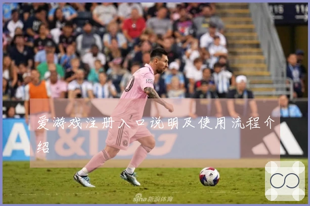 爱游戏注册入口说明及使用流程介绍